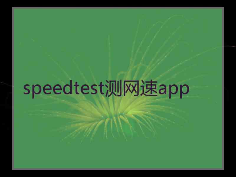 speedtest测网速app