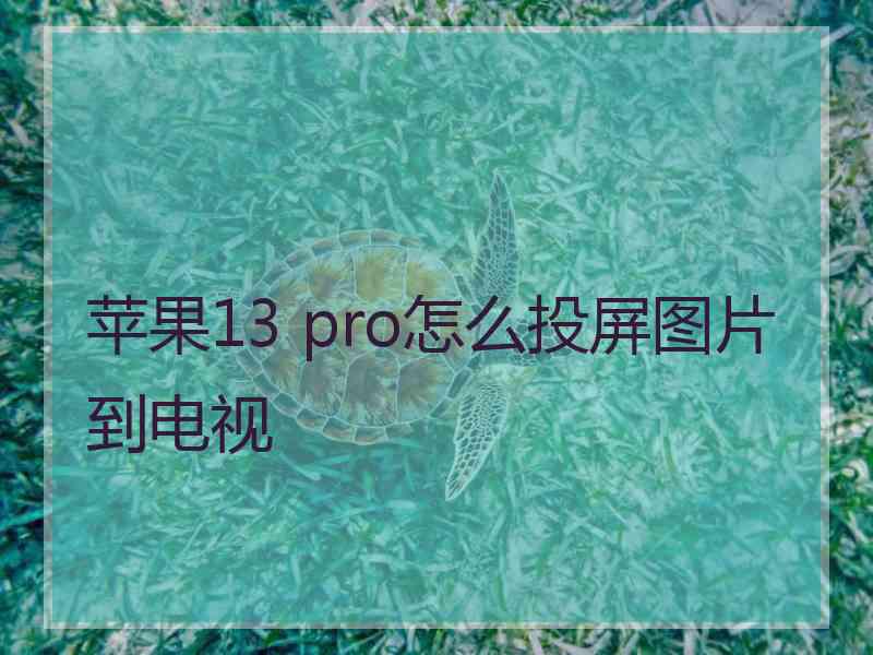 苹果13 pro怎么投屏图片到电视