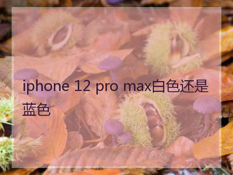 iphone 12 pro max白色还是蓝色