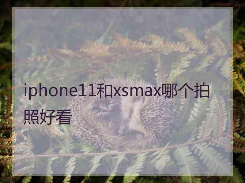 iphone11和xsmax哪个拍照好看