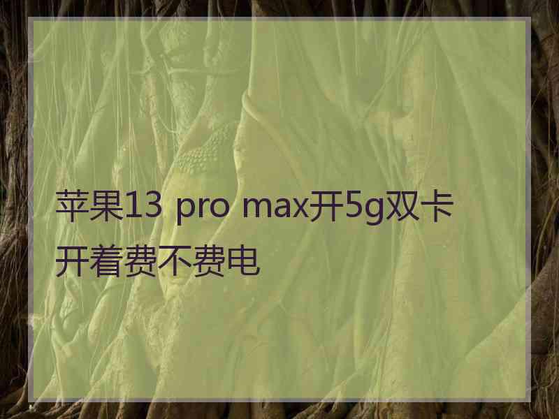 苹果13 pro max开5g双卡开着费不费电