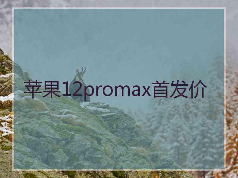 苹果12promax首发价