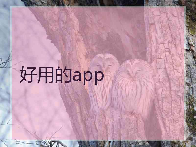 好用的app