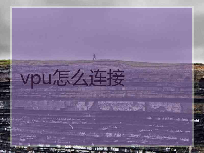 vpu怎么连接