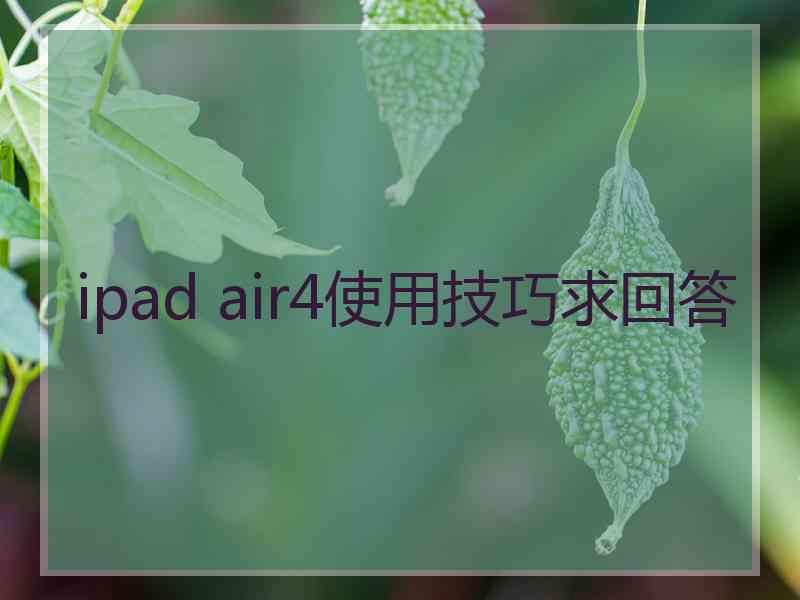 ipad air4使用技巧求回答