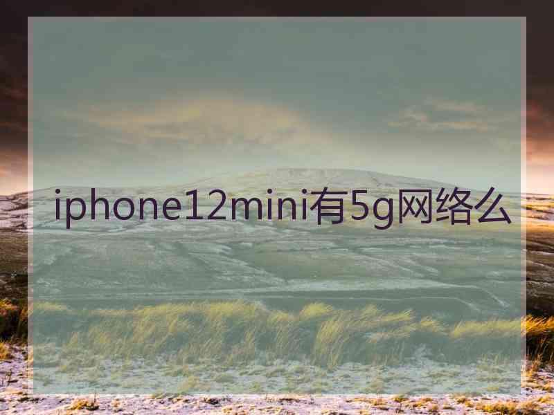 iphone12mini有5g网络么