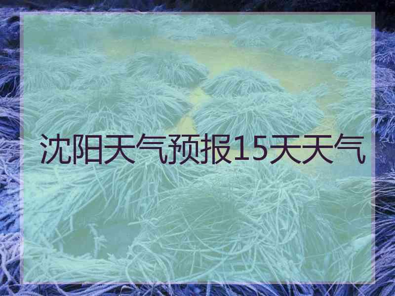 沈阳天气预报15天天气