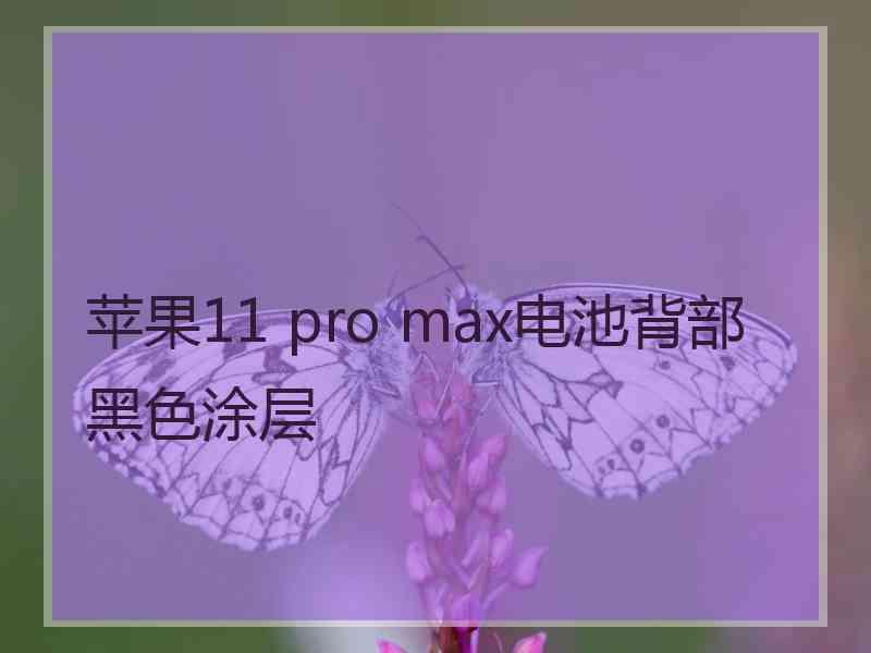 苹果11 pro max电池背部黑色涂层