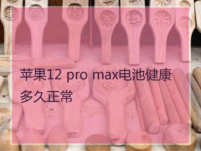 苹果12 pro max电池健康多久正常