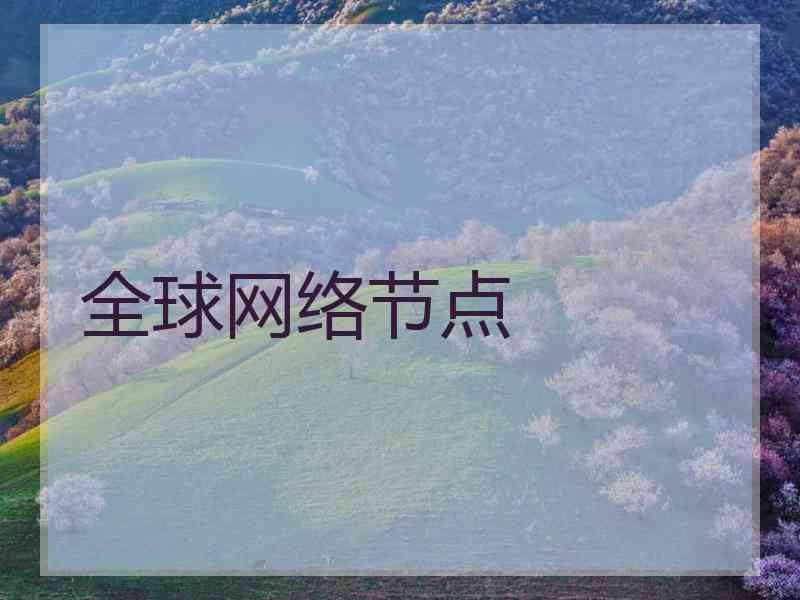 全球网络节点