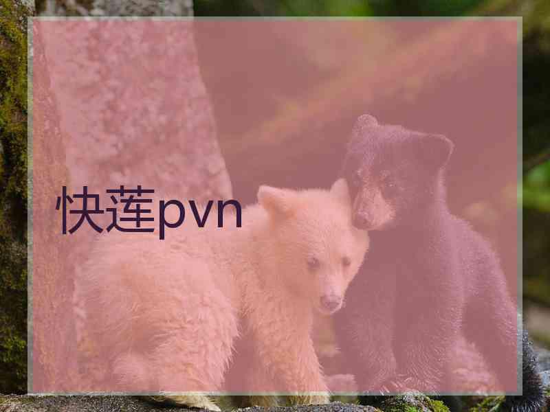 快莲pvn