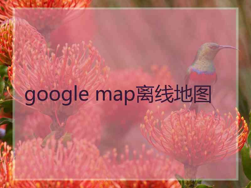 google map离线地图