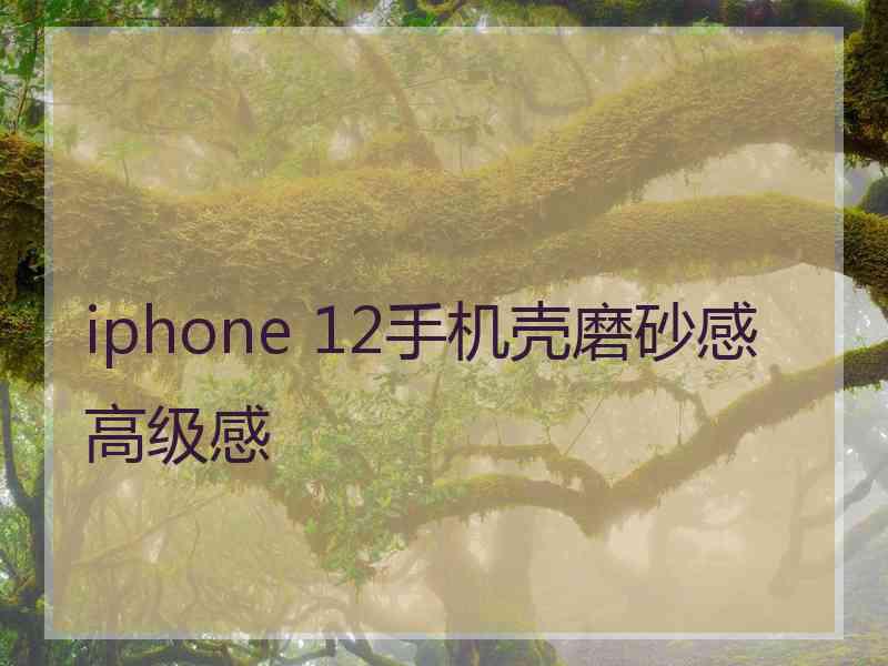 iphone 12手机壳磨砂感高级感