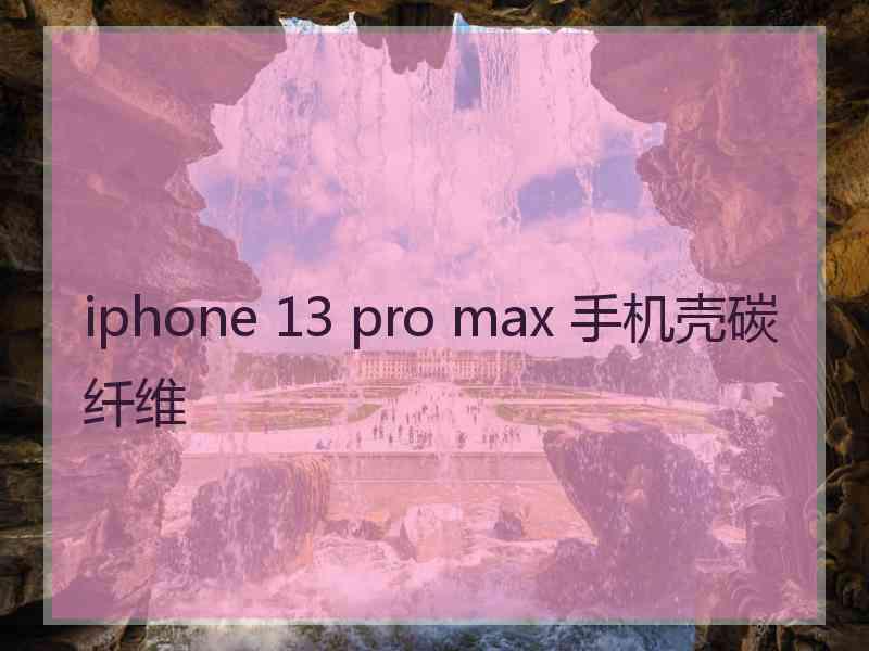 iphone 13 pro max 手机壳碳纤维