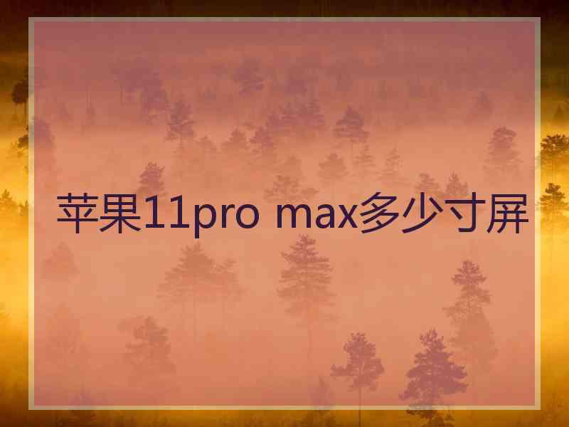 苹果11pro max多少寸屏