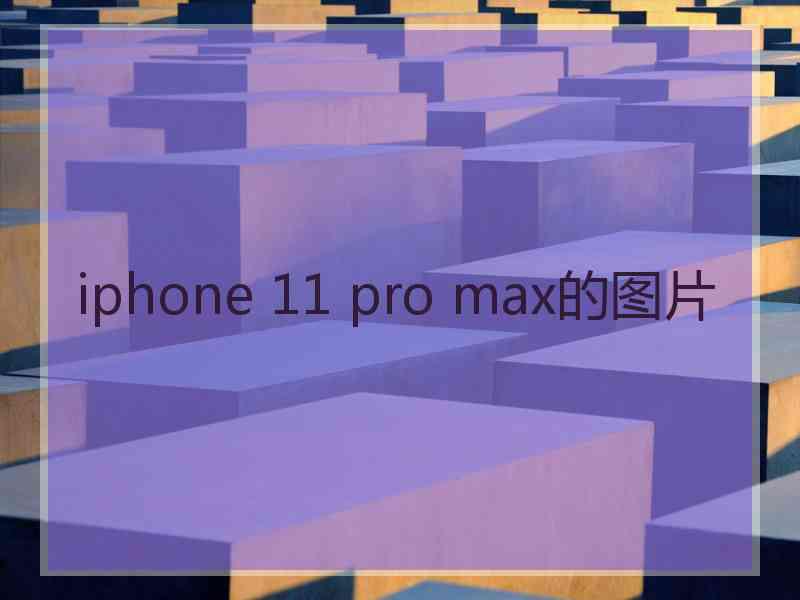 iphone 11 pro max的图片