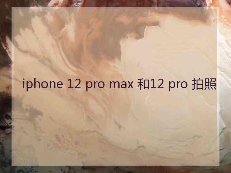 iphone 12 pro max 和12 pro 拍照