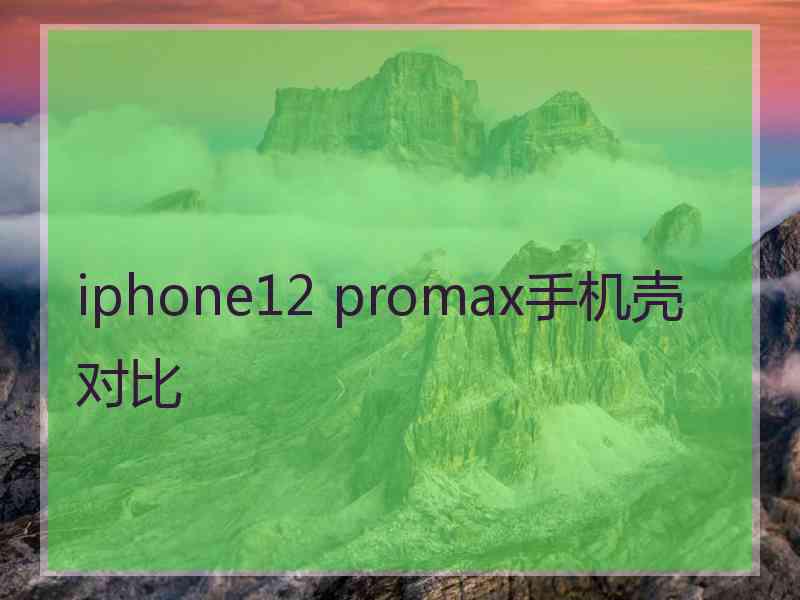 iphone12 promax手机壳对比