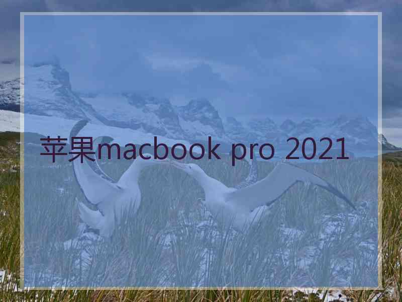 苹果macbook pro 2021