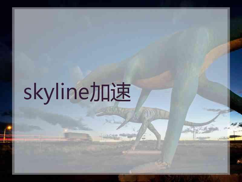 skyline加速