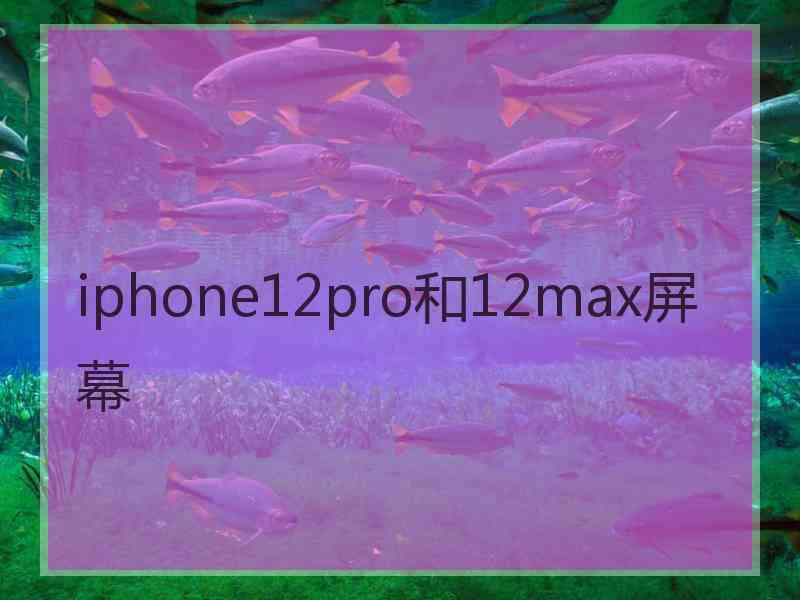 iphone12pro和12max屏幕