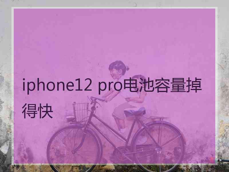 iphone12 pro电池容量掉得快