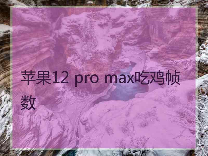 苹果12 pro max吃鸡帧数