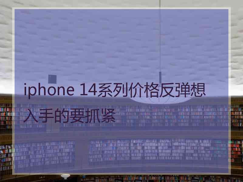 iphone 14系列价格反弹想入手的要抓紧