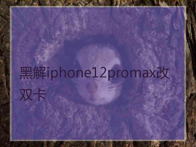 黑解iphone12promax改双卡