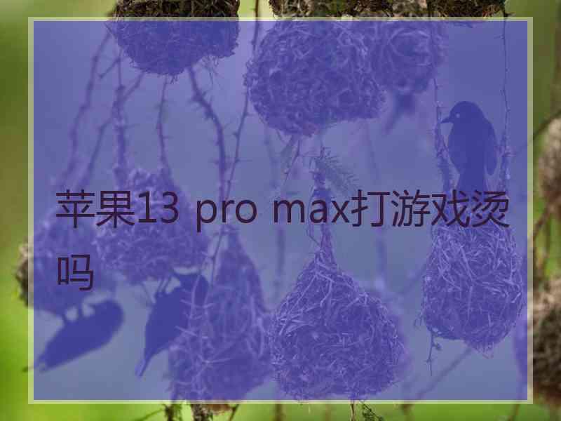 苹果13 pro max打游戏烫吗