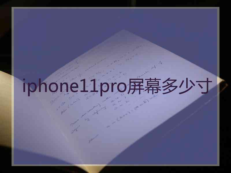 iphone11pro屏幕多少寸