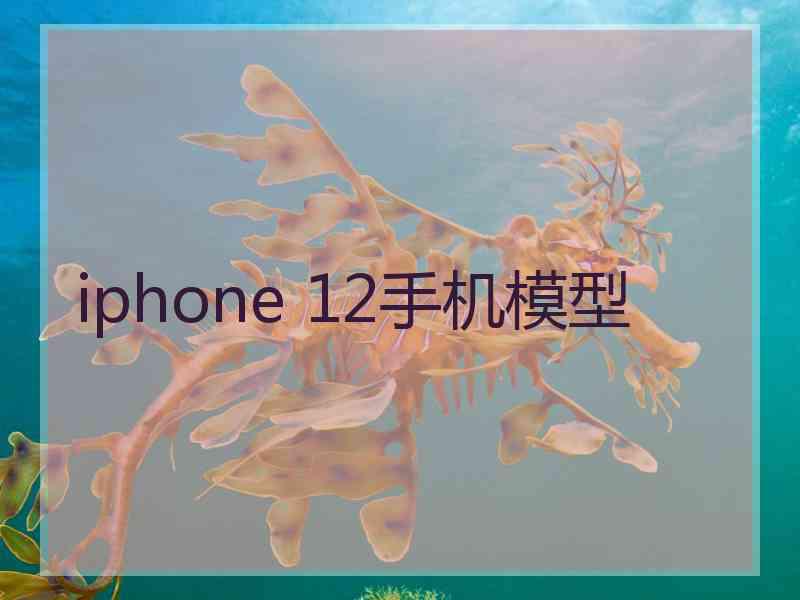 iphone 12手机模型