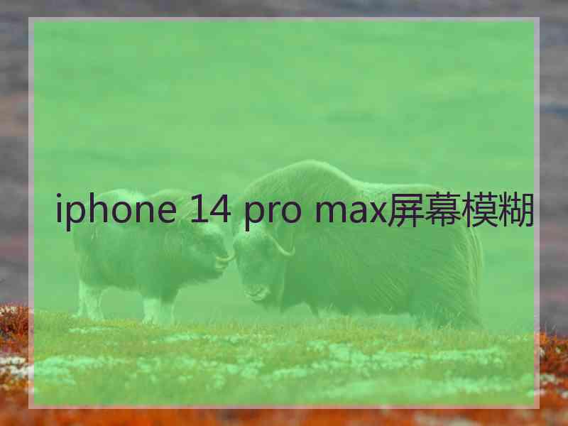 iphone 14 pro max屏幕模糊