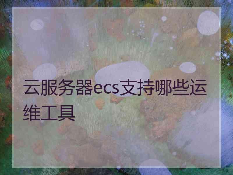 云服务器ecs支持哪些运维工具