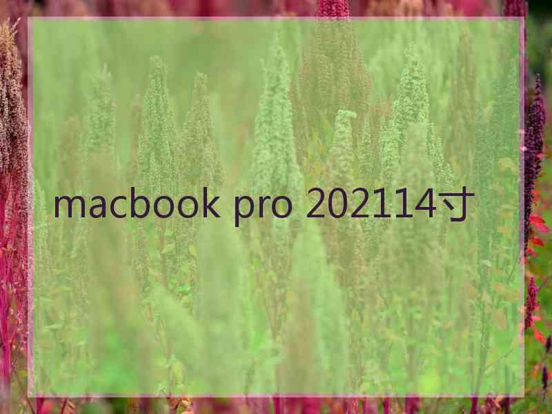 macbook pro 202114寸