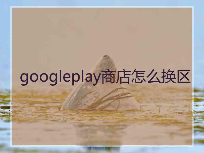 googleplay商店怎么换区