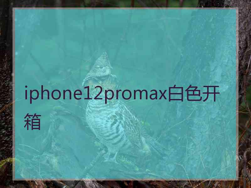 iphone12promax白色开箱