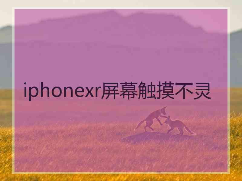 iphonexr屏幕触摸不灵