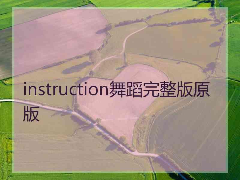 instruction舞蹈完整版原版