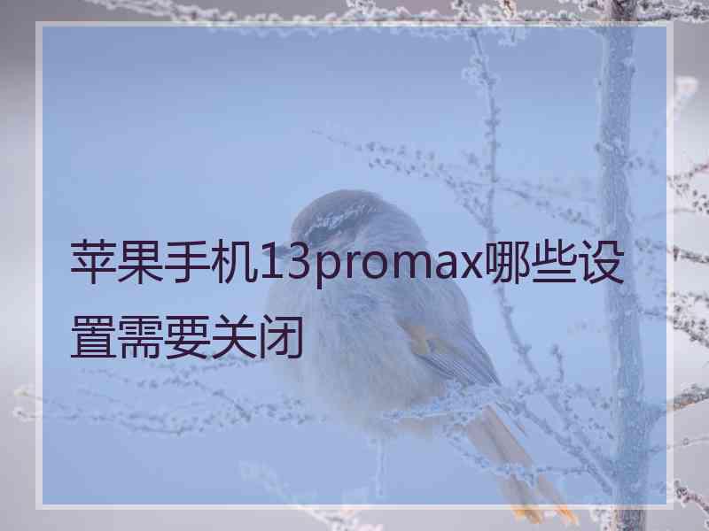 苹果手机13promax哪些设置需要关闭