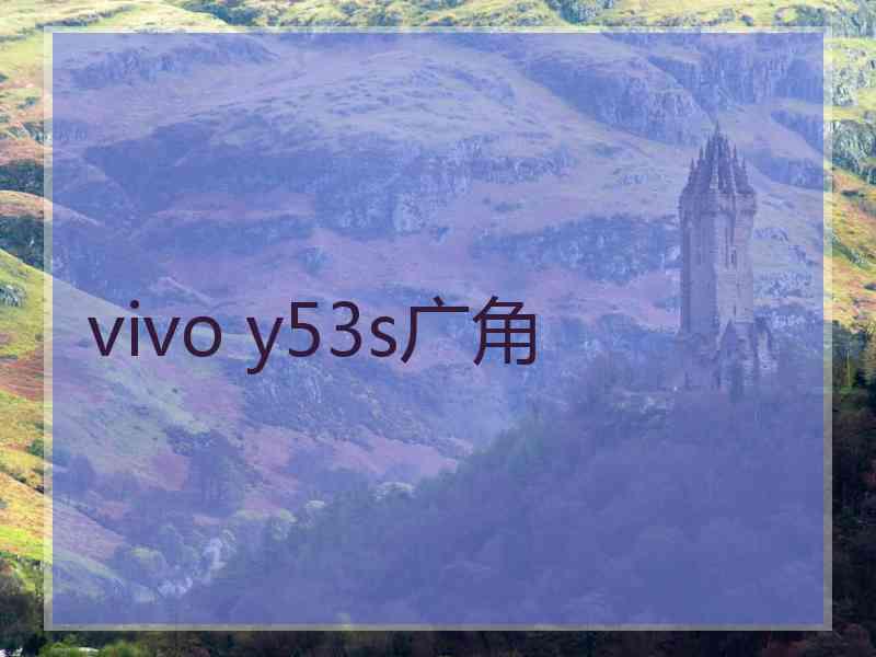 vivo y53s广角