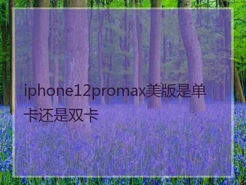 iphone12promax美版是单卡还是双卡