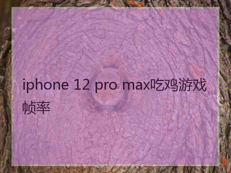 iphone 12 pro max吃鸡游戏帧率