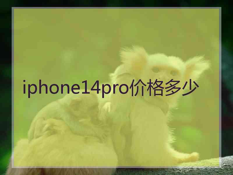 iphone14pro价格多少