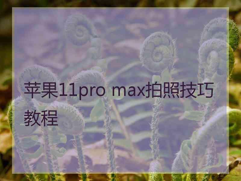 苹果11pro max拍照技巧教程