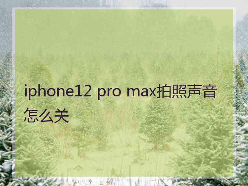 iphone12 pro max拍照声音怎么关