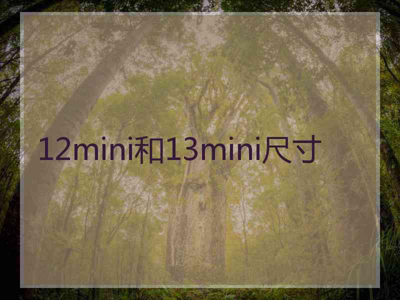 12mini和13mini尺寸