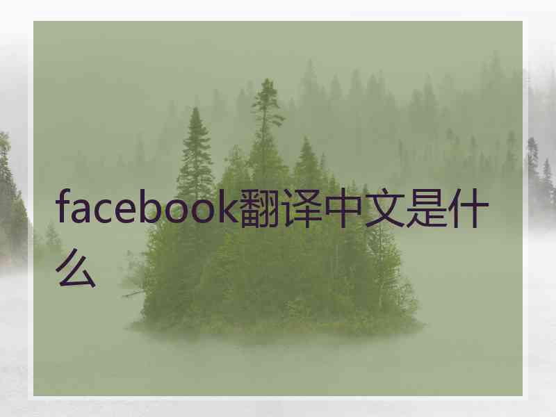 facebook翻译中文是什么