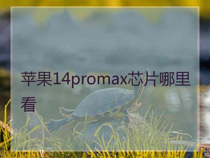 苹果14promax芯片哪里看