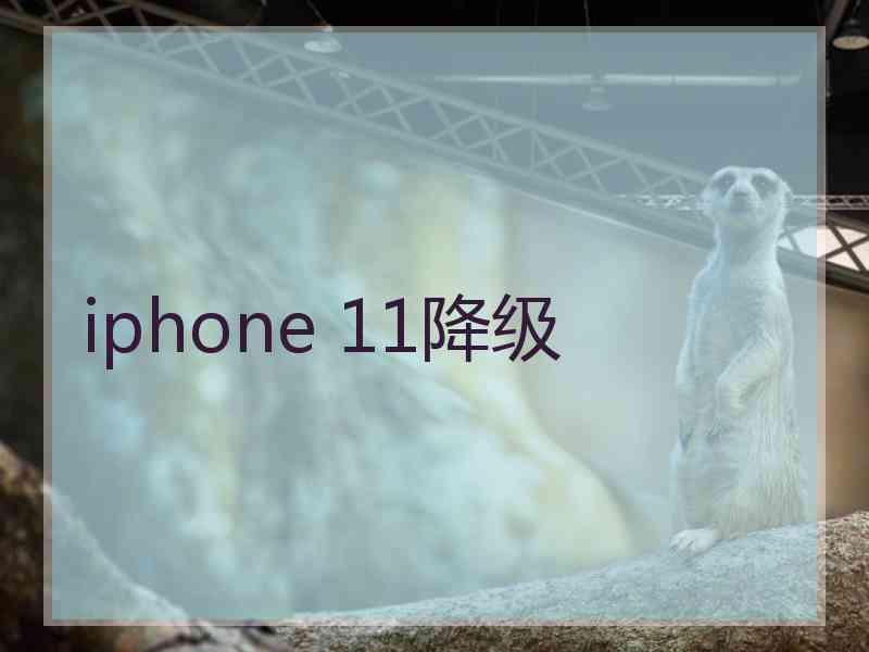 iphone 11降级